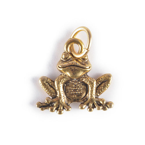 Charm - Frog Charm Pendant - Girl Intuitive - Jillery -